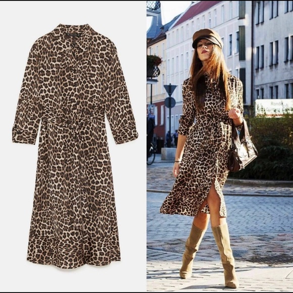 Zara Animal Print Dress - Picture 1 of 8